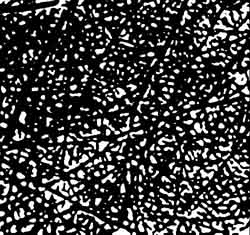 Branchy