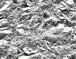 Foil