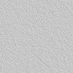 GRAY-WEV