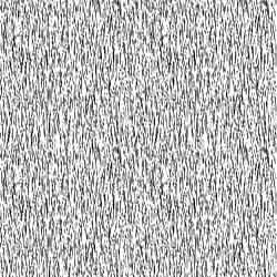 Hairbmp1