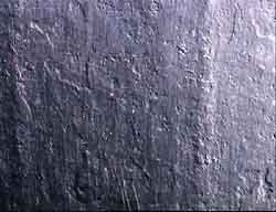 Hull8