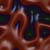 0998skin