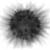 Blast1